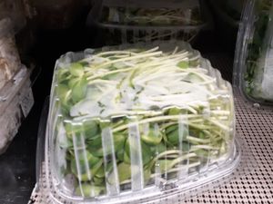 Back of Organic Sunfloeer Sprouts at Universal Living Sprouts in West Palm Beach