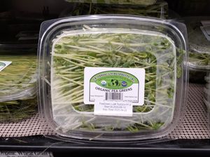 Front of Organic Pea Greens at Universal Living Sprouts in West Palm Beach