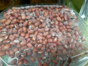 Organic Sprouted Adzuki Beans - mold present on front view and back view at Universal Living Sprouts in West Palm Beach