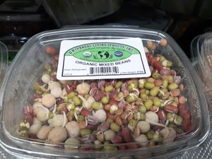 Organic Sprouted Mixed Beans - mold present on front view and back view at Universal Living Sprouts in West Palm Beach