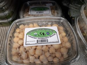 Sprouted Garbanzo Bean - lots of moisture at Universal Living Sprouts in West Palm Beach