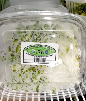 8.29.25 Broccoli Microgreens - excessive moisture - no lot number, no "start date" , no best by date at Universal Living Sprouts in West Palm Beach