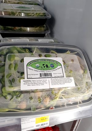 8.29.25 Mixed Salad with Whole Foods 365 Dressing - excessive moisture - no lot number, no "start date" , no best by date at Universal Living Sprouts in West Palm Beach