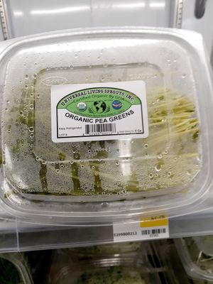 8.29.25 Pea Greens - excessive moisture and spoilage - no lot number, no "start date" , no best by date at Universal Living Sprouts in West Palm Beach