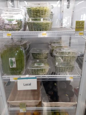 8.29.25 Only 1 item on their Local shelf was USDA NOP COMPLIANT - several look spoiled, excessive moisture , 1 expired, no lot number, no "start date", no best by date at Universal Living Sprouts in West Palm Beach