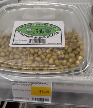 9.1.2025 at Universal Living Sprouts in West Palm Beach