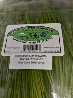 9.1.2025 at Universal Living Sprouts in West Palm Beach