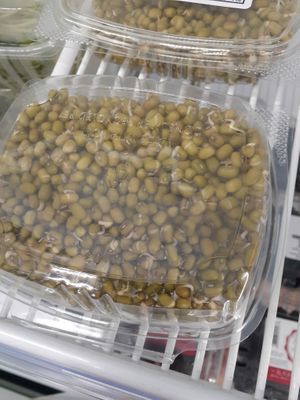 9.1.2025 at Universal Living Sprouts in West Palm Beach