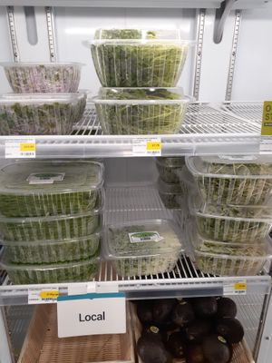 9.1.2025 at Universal Living Sprouts in West Palm Beach