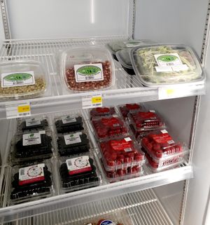 9.1.2025 at Universal Living Sprouts in West Palm Beach