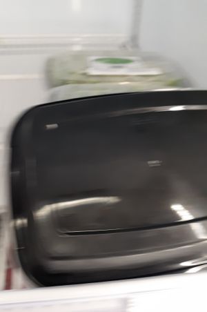 9.1.2025 at Universal Living Sprouts in West Palm Beach