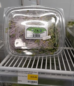 9.1.2025 at Universal Living Sprouts in West Palm Beach