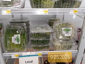  at Universal Living Sprouts in West Palm Beach