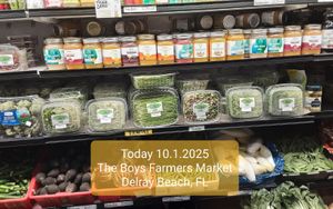 Organic Sprouted Sprouts & Microgreens at Universal Living Sprouts in West Palm Beach