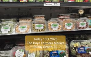 Organic Sprouted Beans - some have no lot number, all have no sprouted date & no best by date at Universal Living Sprouts in West Palm Beach