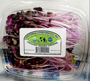 Organic Purple Rambo Radish Microgreens at Universal Living Sprouts in West Palm Beach