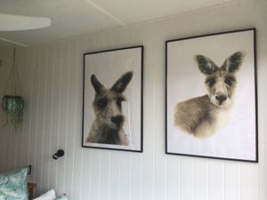 A couple of our permanent residents at Stephanie's Country Cottages in Drummond North