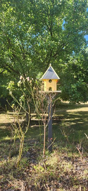 Beautiful landscapes and a sweet little birdhouse for all of the lovely birds 🐦 at Stephanie's Country Cottages in Drummond North