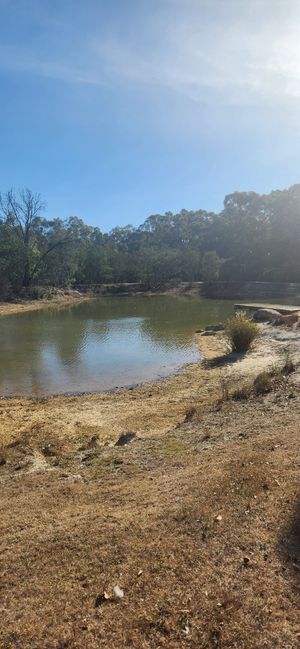  at Stephanie's Country Cottages in Drummond North