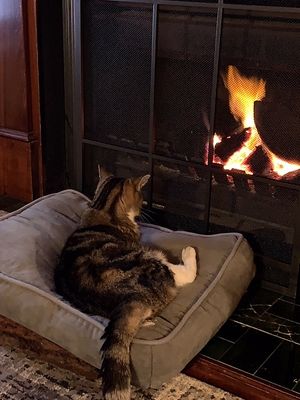 Sinead loved the open fire at Stephanie's. at Stephanie's Country Cottages in Drummond North