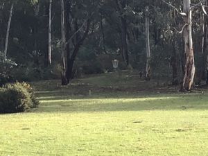 Long straight par 3 at Stephanie's Country Cottages in Drummond North