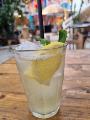 Mint Kombucha at Las Dalias in Ibiza