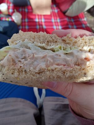 Seitan BLT sandwhich on wholegrain seeded bread.  at Luna's Vegan Corner in Cardiff
