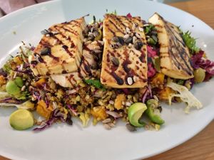  at Luna's Vegan Corner in Cardiff