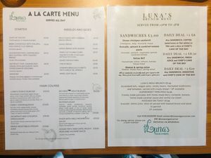 The extensive menu - I haven’t included the drinks page - sorry! at Luna's Vegan Corner in Cardiff
