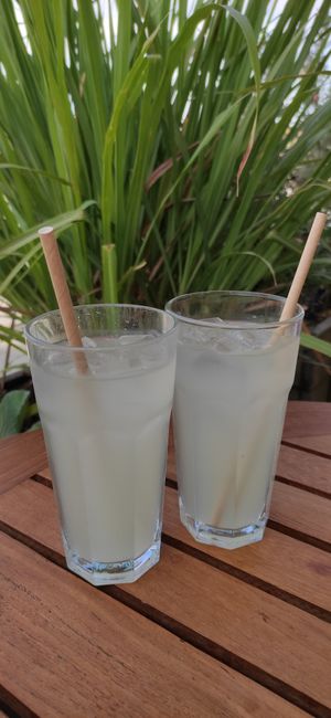 Limonadas at Casa da Terra in Ponte De Lima