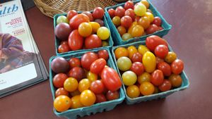 Tomatoes  at Eureka Market in Eureka Springs