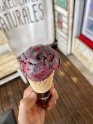   at AntiuXixona in Mallorca