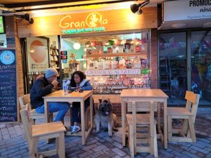 Desde que los visito 2017 ha sido Dog friendly a la fuerza lo bueno es que Siempre son bienvenidos los Peludos at Tienda GranOla in Bogota