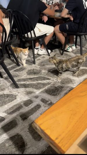   at Allas Souvlaki & More in Paros