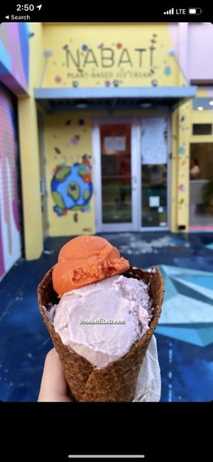 Mamey ice cream was best! at Nabati in Miami