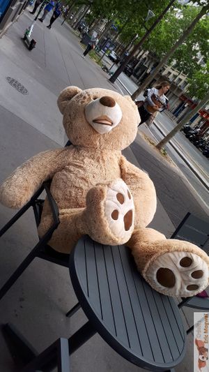 Cookie, a big friend ! at Sunday's Coffee in Paris