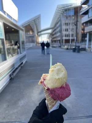   at Paradis - Tjuvholmen in Oslo