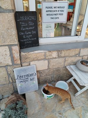  at Lorraine's Magic Hill in Kefalonia