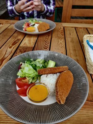 Vegan schnitzel, 10/10 at Uzupio Kavine in Vilnius