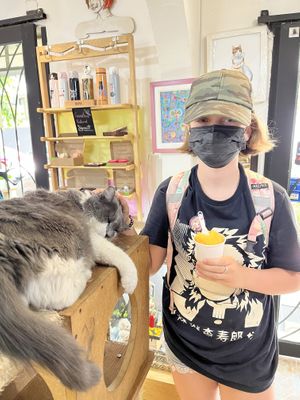   at Garros DeliGATessen in Mexico City