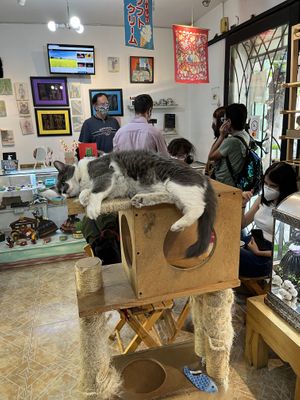   at Garros DeliGATessen in Mexico City