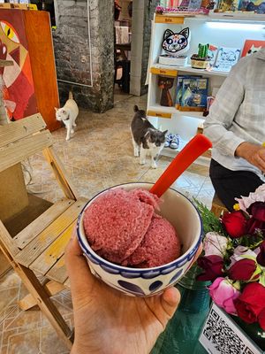 Nieve de frutos rojos at Garros DeliGATessen in Mexico City