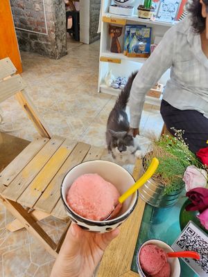 Nieve de fresa coco at Garros DeliGATessen in Mexico City