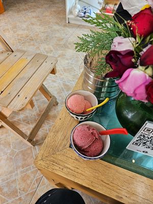 . at Garros DeliGATessen in Mexico City