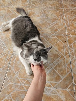 Good companies at Garros DeliGATessen in Mexico City