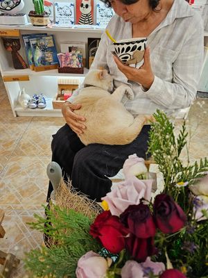 🧡 at Garros DeliGATessen in Mexico City