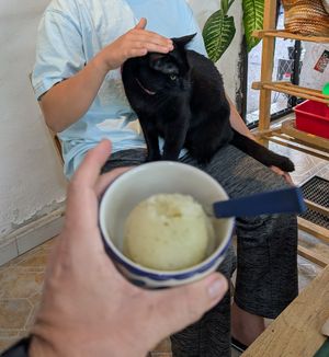 Yummy at Garros DeliGATessen in Mexico City