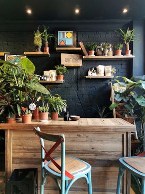 Tribe at TRIBE in South West London