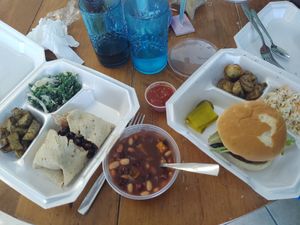 Walnut wrap & beyond burger at Frannie's Vegan Cafe in Johnson City