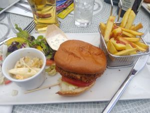 Vegan burger with fries, seemed like salad had mayonnaise in it with mayonnaise dressing on side at JW's Brasserie in Westport